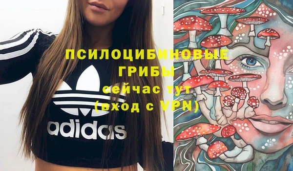 mdpv Заволжье