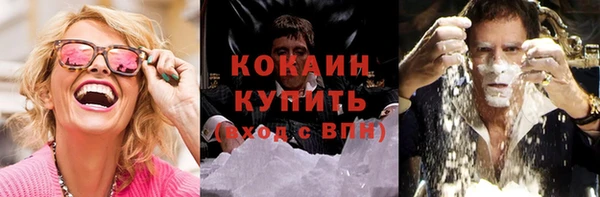 соль ск Белокуриха