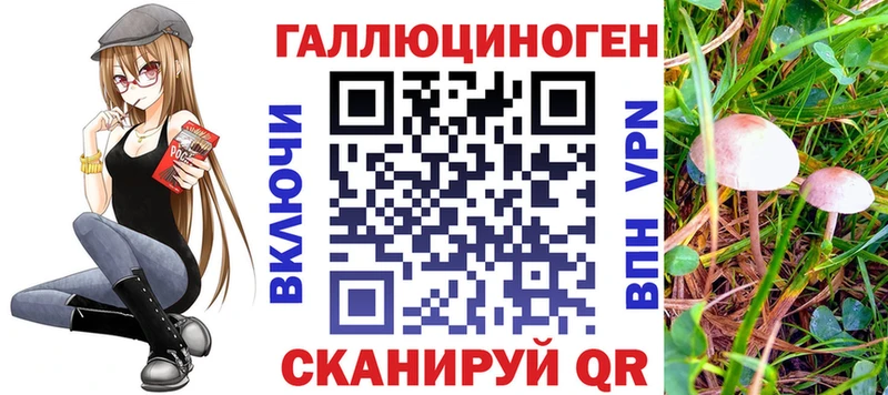 купить наркотики сайты  Бузулук  Псилоцибиновые грибы GOLDEN TEACHER 